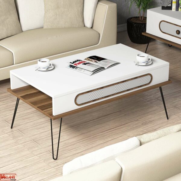 EKOL Salon Tablosu